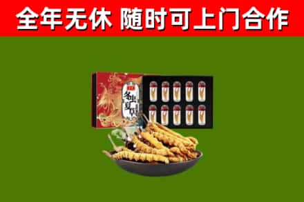 晋城市回收冬虫夏草价格
